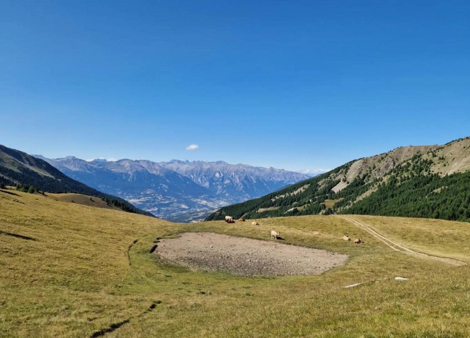 Les Orres 1800 Daire Fransa
